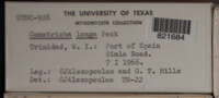Image Associated With the Occurence